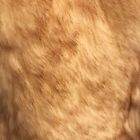 Vintage Medium Rabbit Coat - Picture 4 of 4